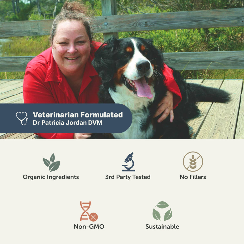 Hip and Joint Supplement Powder for Dogs product image 7