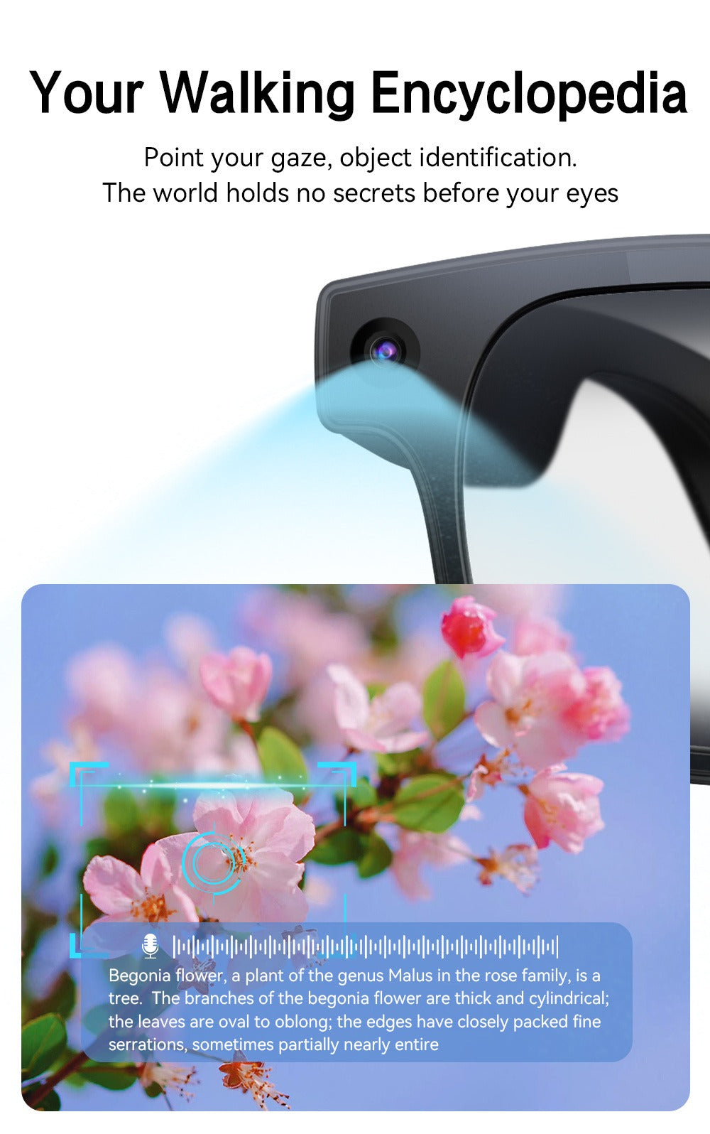 Smart Glasses 8MP Camera Eyewear with Translation, Object Recognition, Touch Control and Bluetooth Calls