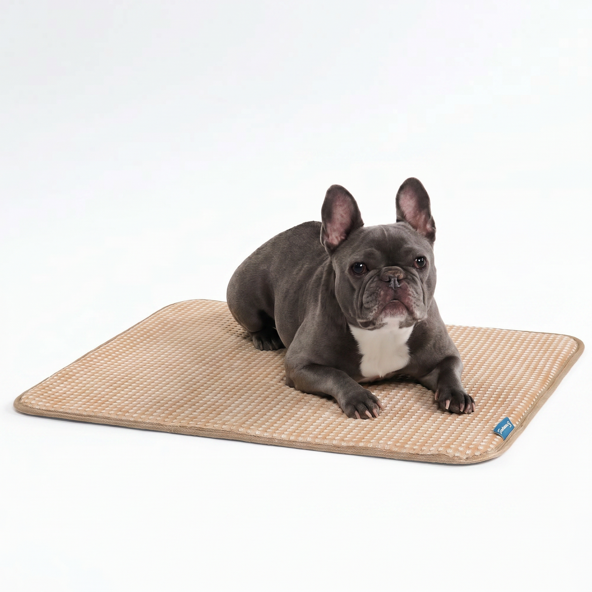 Breathable Cooling Dog Mat Waffle Brown / M