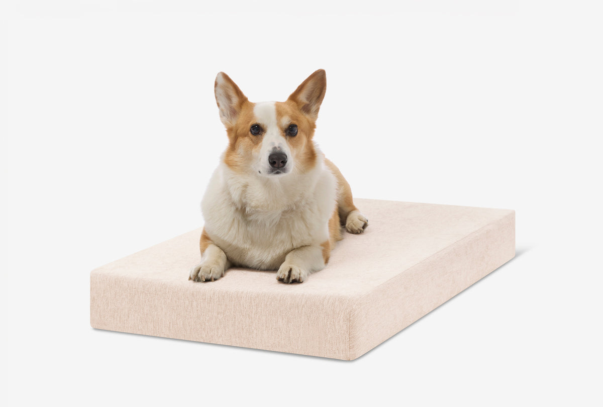 Orthopedic Dog Crate Bed Medium - 33.2" X 21.2" X 4" / Driftwood Linen