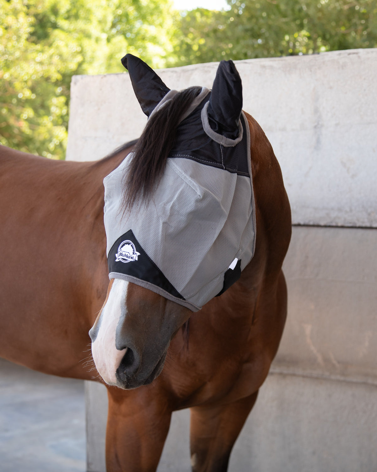 Quarter Horse Fly Mask product image 1