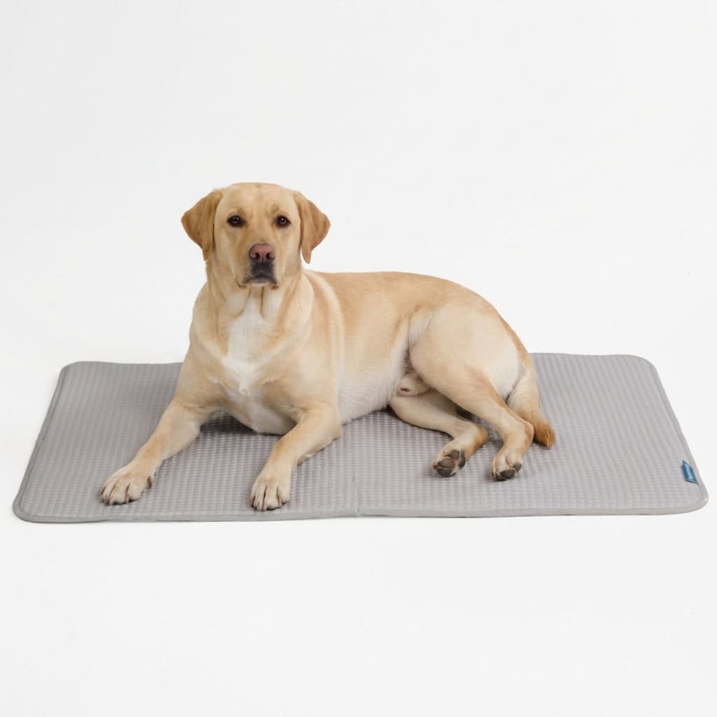 Breathable Cooling Dog Mat Waffle Grey / 2XL