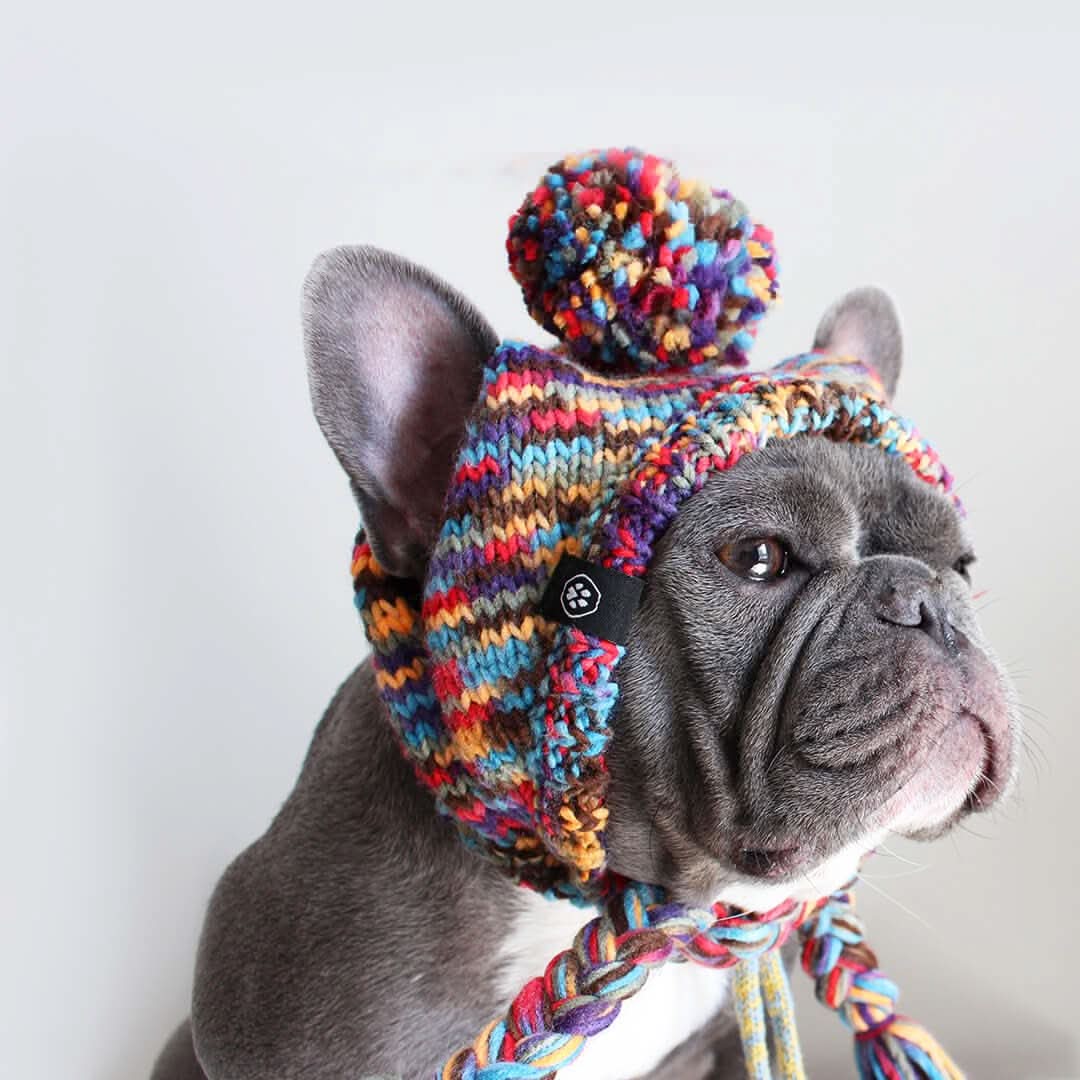 Knit Pom-Pom Dog Beanie product image 1