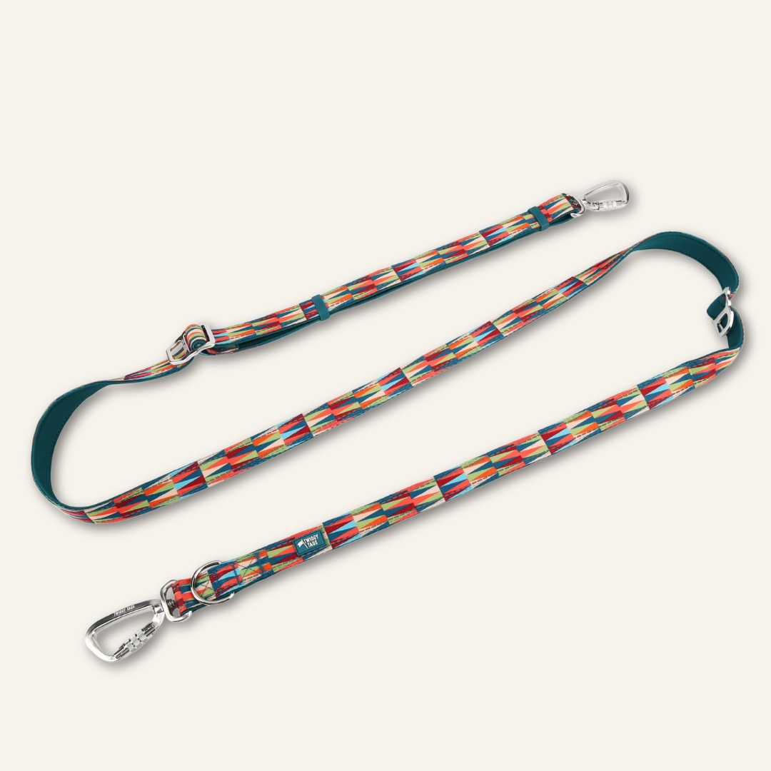Adjustable Multi-Way Dog Leash Elixir