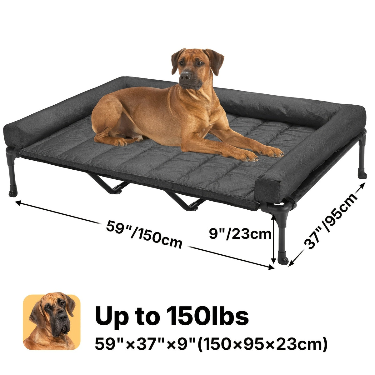 Elevated Dog Bed with Teslin Mesh Cot, Powder-Coated Steel Frame and Removable Bolster Top in Four Sizes