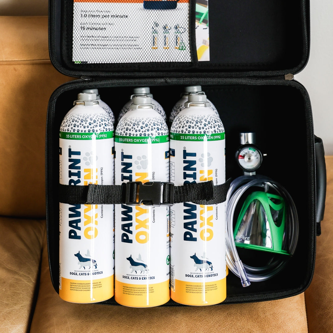 open dog oxygen kit showing components within the rescue oxygen kit.