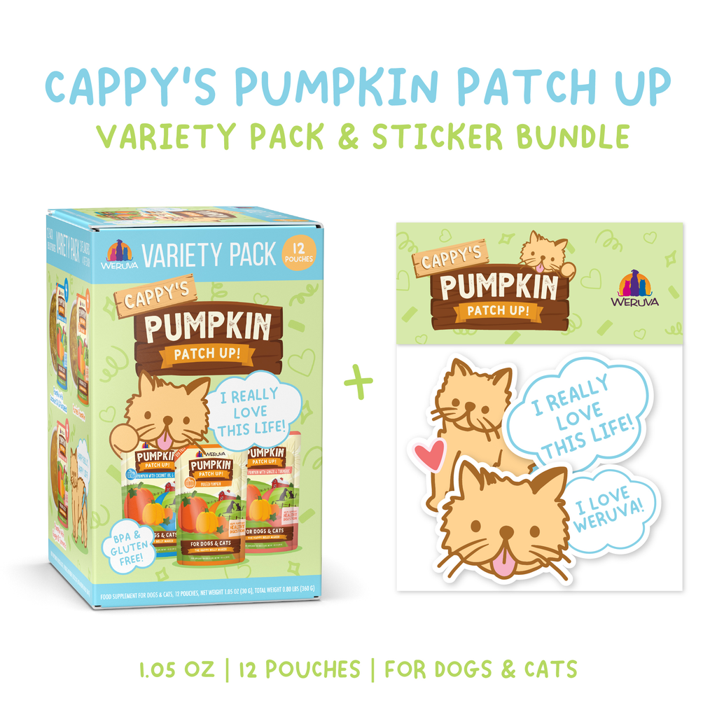 Weruva's Cappy's Pumpkin Patch Up Variety Pack offers 12 grain-free, gluten-free pumpkin food pouches for dogs and cats, plus a sticker sheet with cartoon cats, speech bubbles, and pumpkins to help support healthy digestion.