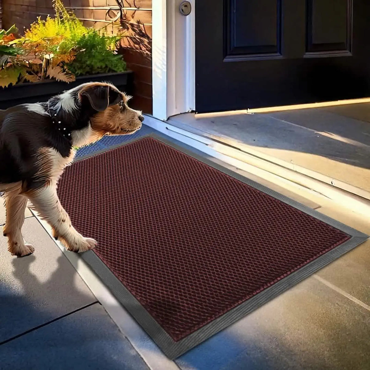 Outdoor Muddy Paw Mesh Door Mat product image 6