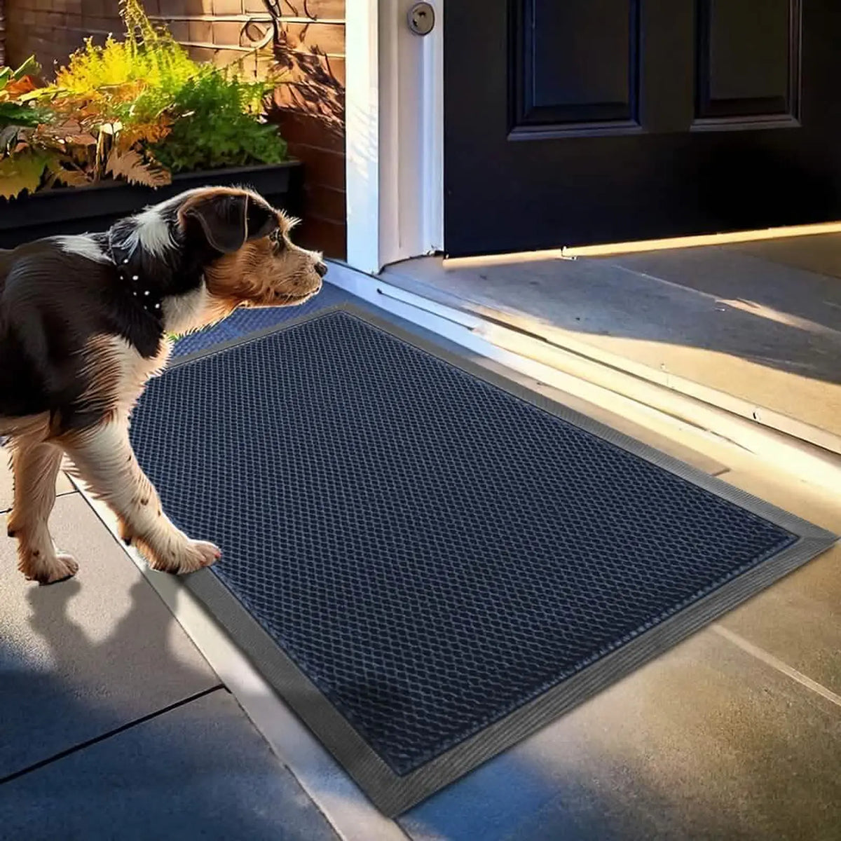 Outdoor Muddy Paw Mesh Door Mat product image 8