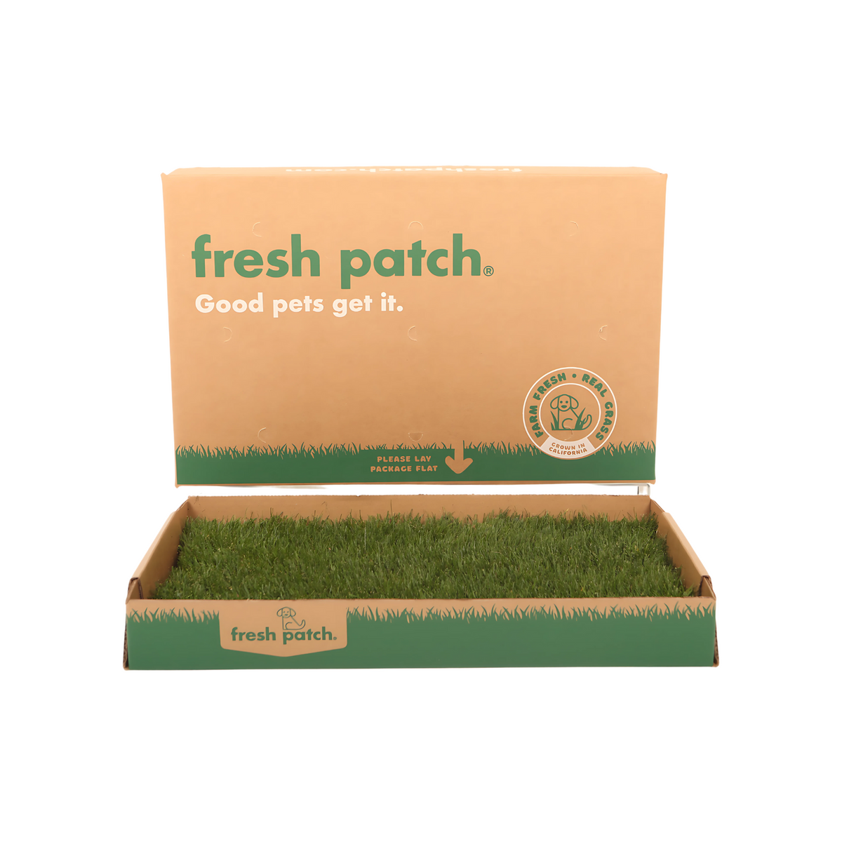 Cardboard box with real grass pad and 'fresh patch' branding on a white background