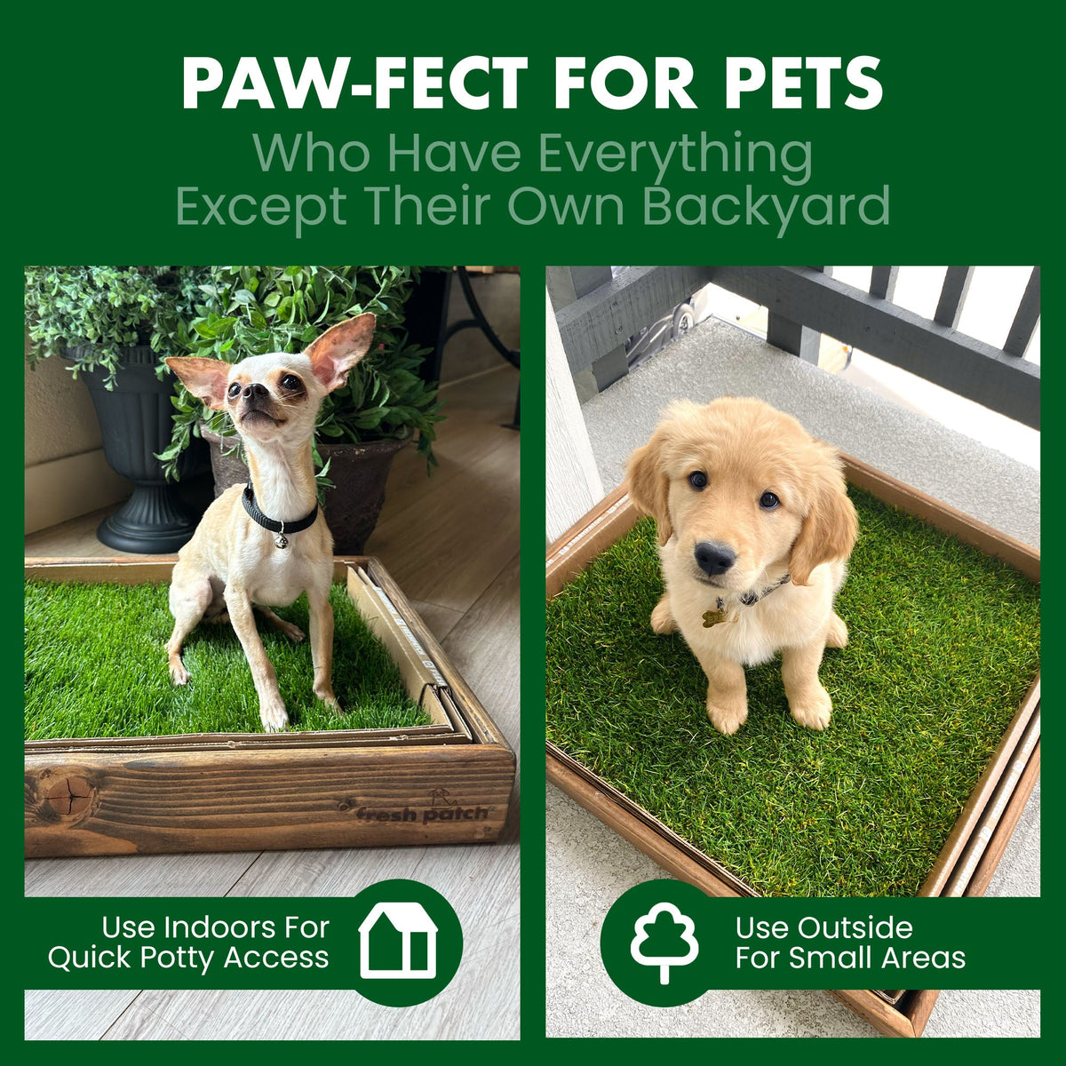 Two dogs in grassy enclosures with text about pet products.