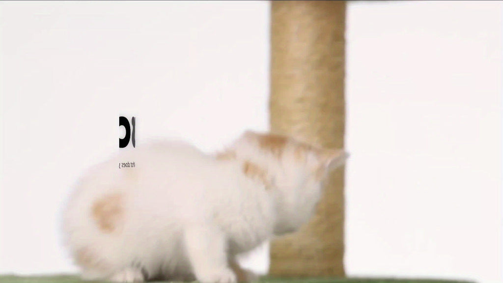Cat Tree 55" Large Multi-Level Cat Tower for Indoor Cats with Green Leaves, Hammock, Sisal Scratching Posts & Hanging Ball Toy