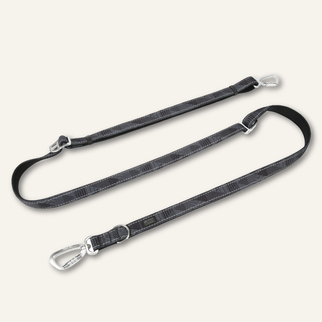 Adjustable Multi-Way Dog Leash Onyx
