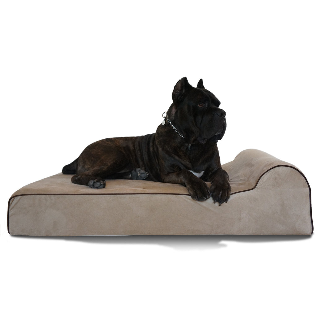 Bully Bed Orthopedic, Washable & Waterproof Big Dog Beds Bully Bed bullybeds.com Large $179.99 - 48"x30"x7" Tan
