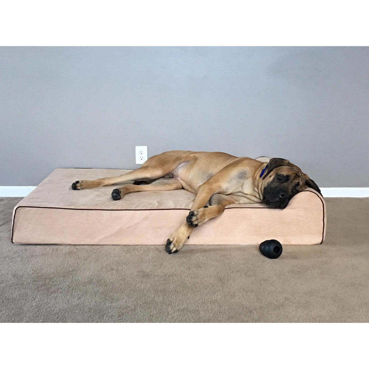 Bully Bed Orthopedic, Washable & Waterproof Big Dog Beds Bully Bed bullybeds.com