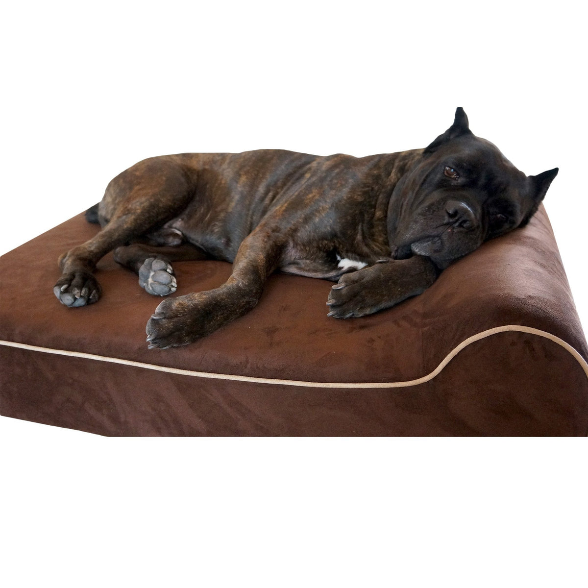 Large Orthopedic Memory Foam Dog Bed, Medium $159.99 -  34"x22"x4" / Chocolate