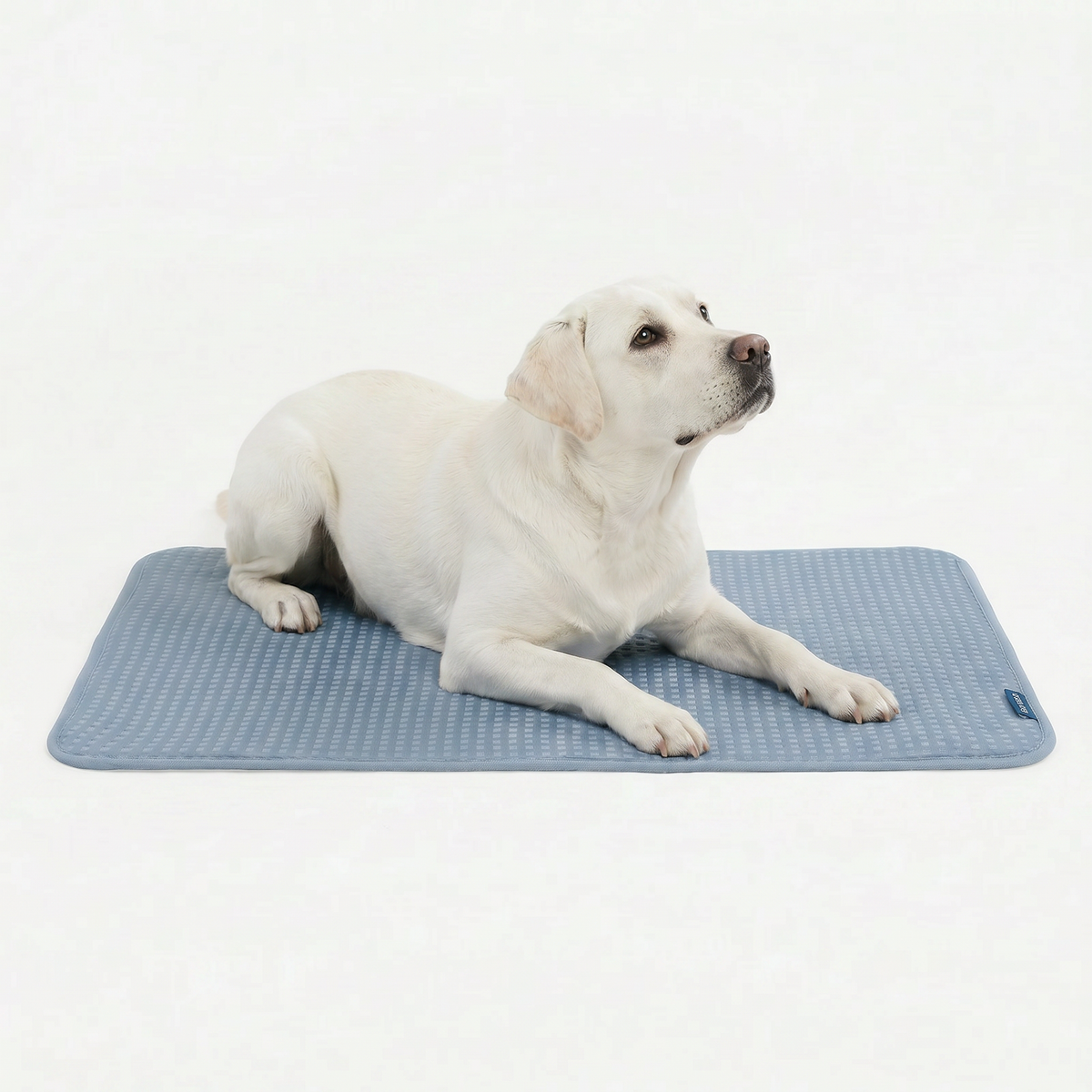 Breathable Cooling Dog Mat Waffle Ash Blue / 2XL