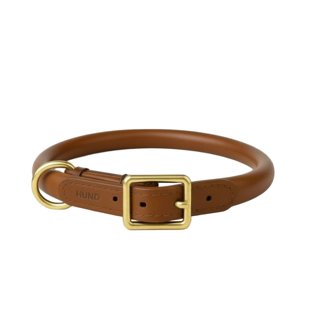 Rolled Italian Leather Dog Collar, 10" Length X 1/3" Width / Milk Chocolate- Solid Brass Details