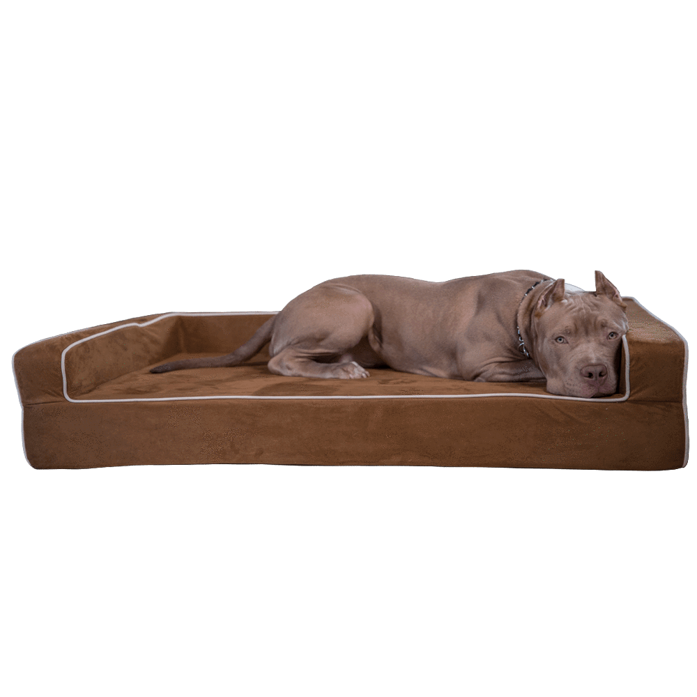 Orthopedic 3 Sided Bolster Bed Bullybeds.com
