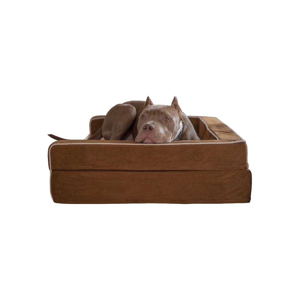 Orthopedic 3 Sided Bolster Bed Bullybeds.com