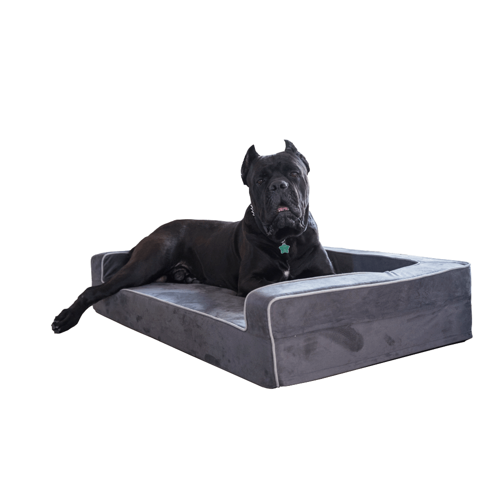 Three-Sided Orthopedic Bolster Dog Bed, Medium $159.99 - 34"x22"x4" / Gray