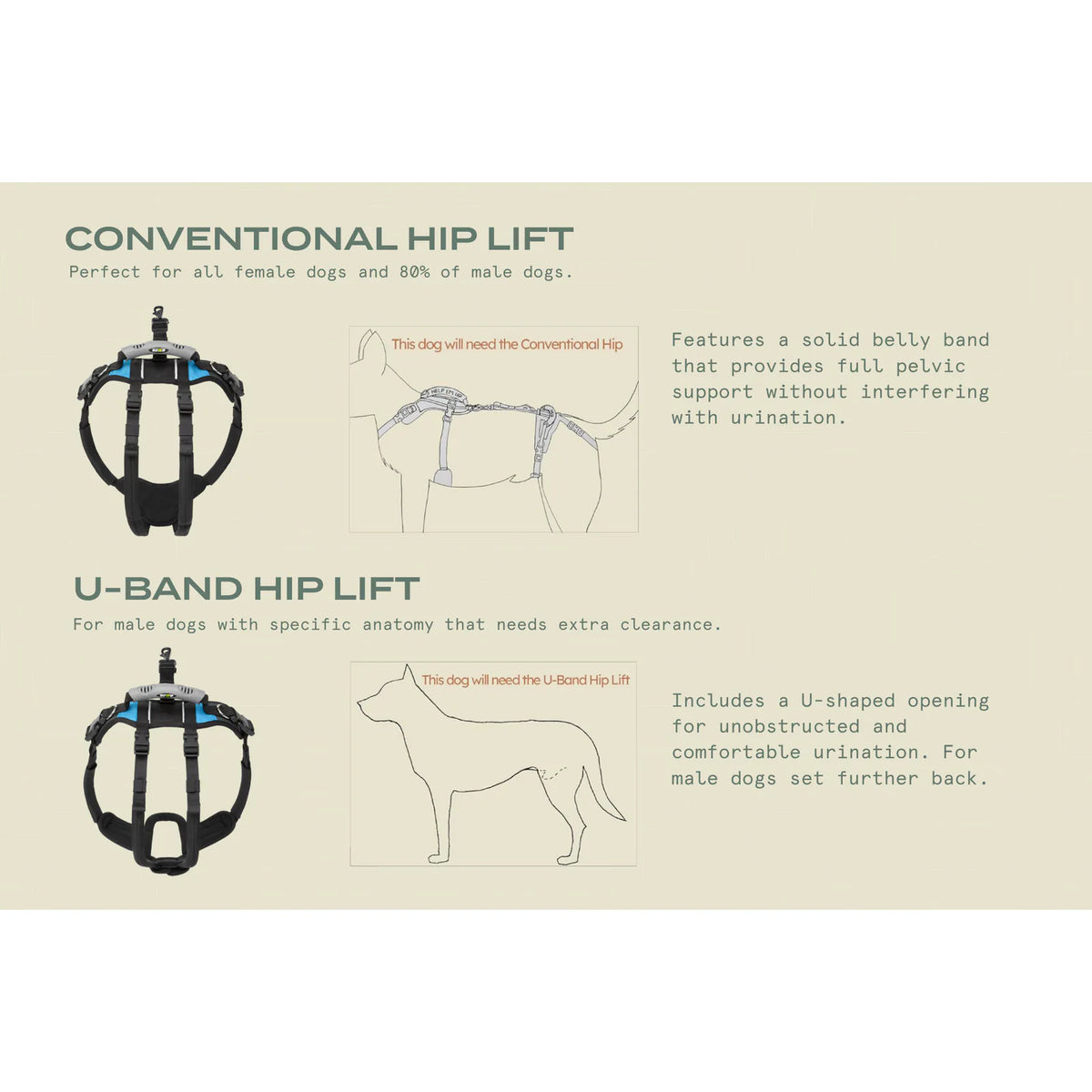 large-80-125-lbs-u-band