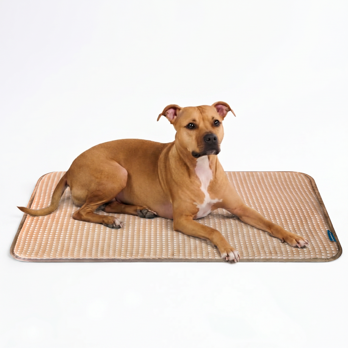 Breathable Cooling Dog Mat Waffle Brown / L