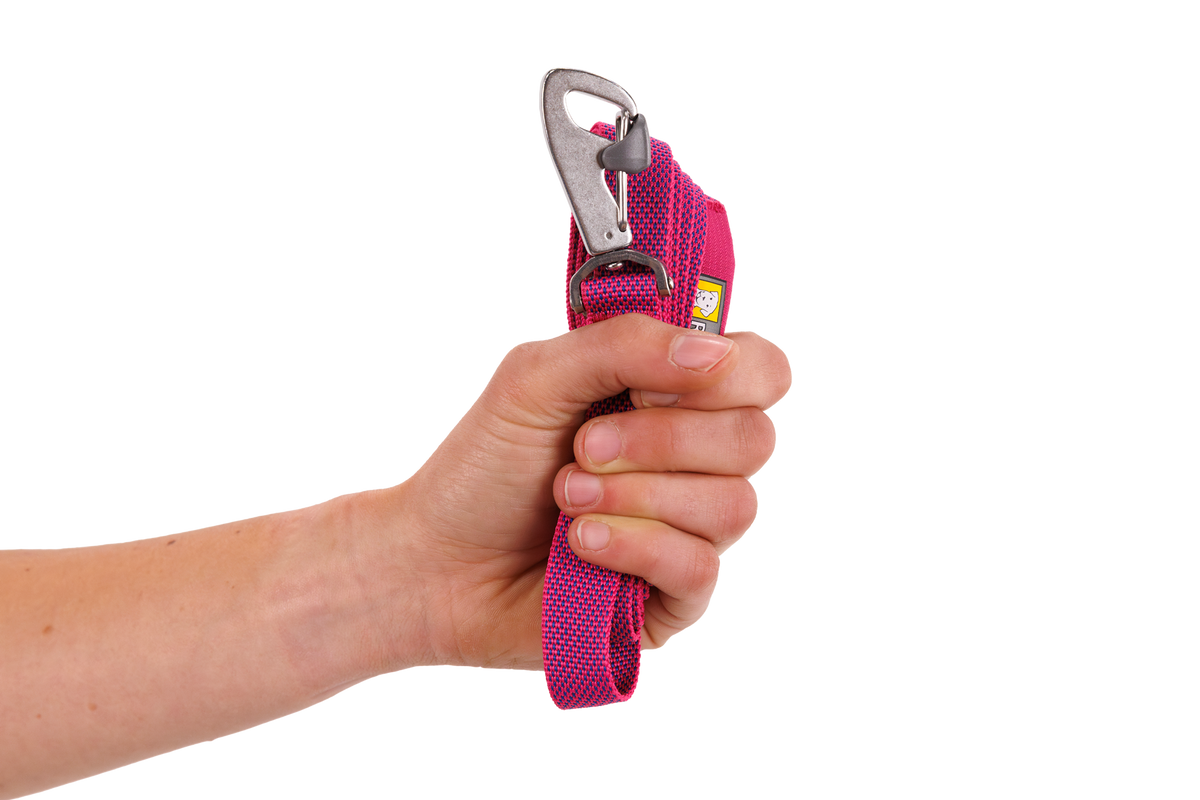 Hands-Free Dog Leash product image 48