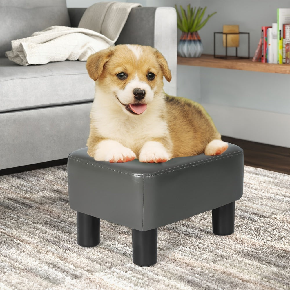 Ottoman Compact Rectangular Footrest, 15.6-Inch Width with Underside Zip Storage and Four Color Options