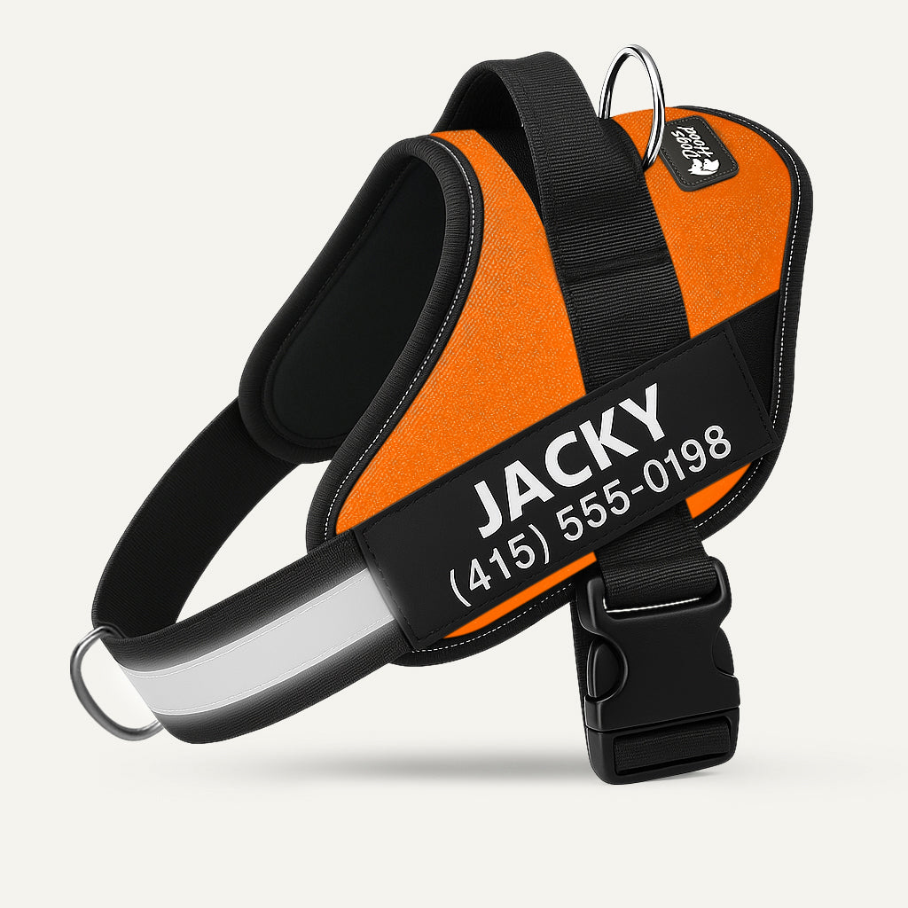 No-Pull Dog Harness, Orange / XS