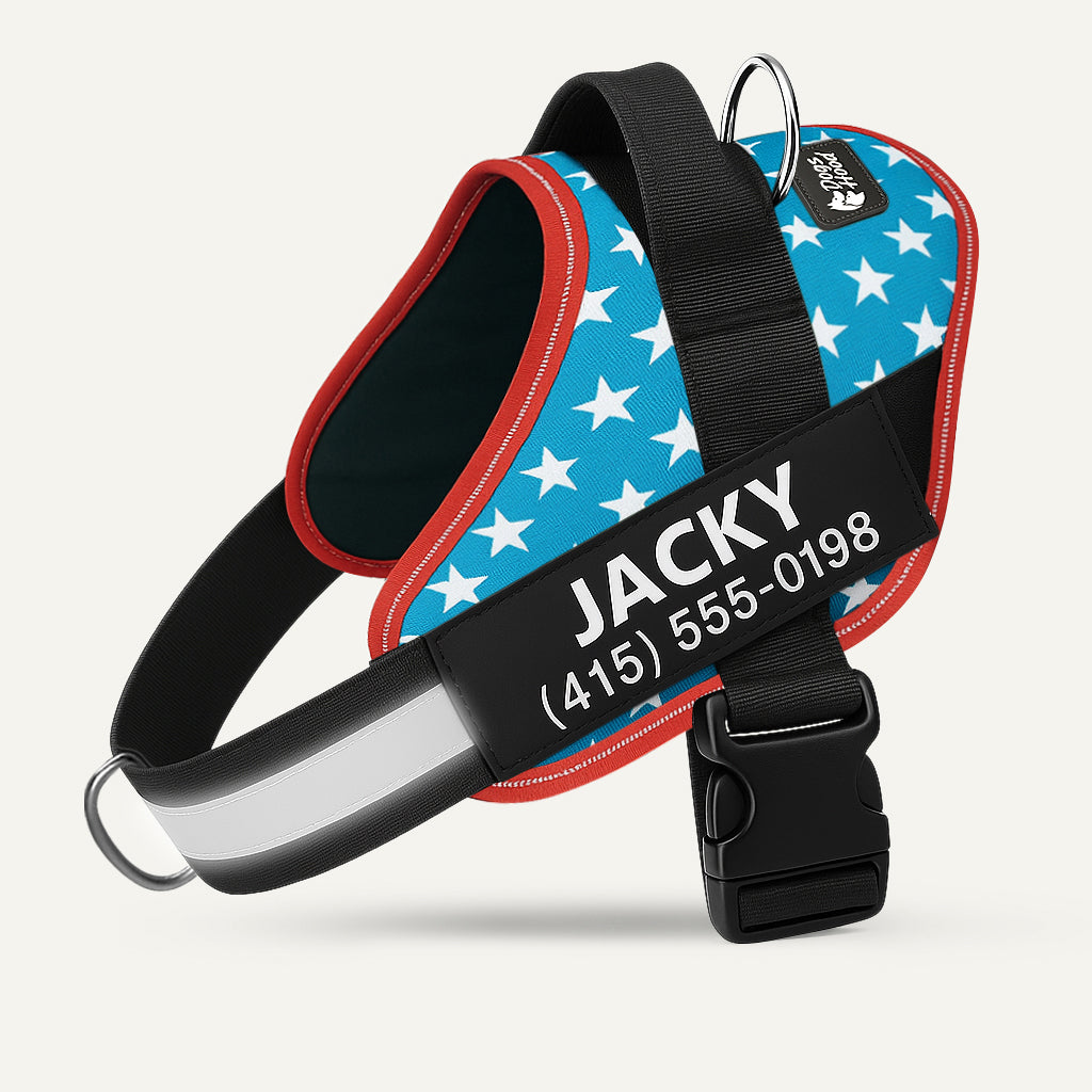 No-Pull Dog Harness, USA / XS