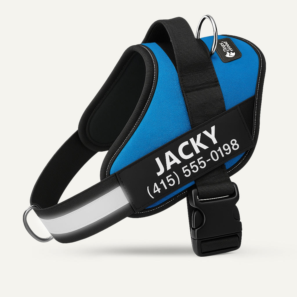 No-Pull Dog Harness, Blue / XS