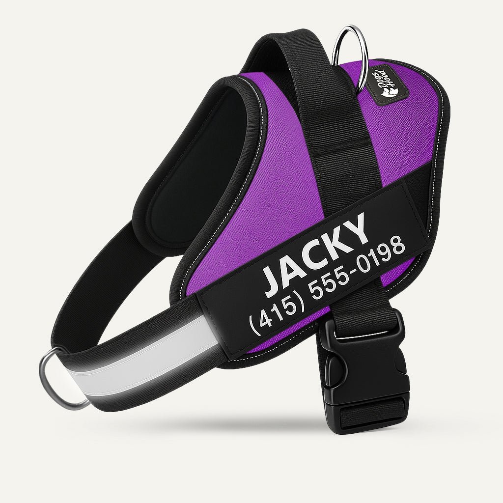 No-Pull Dog Harness, Purple / XS