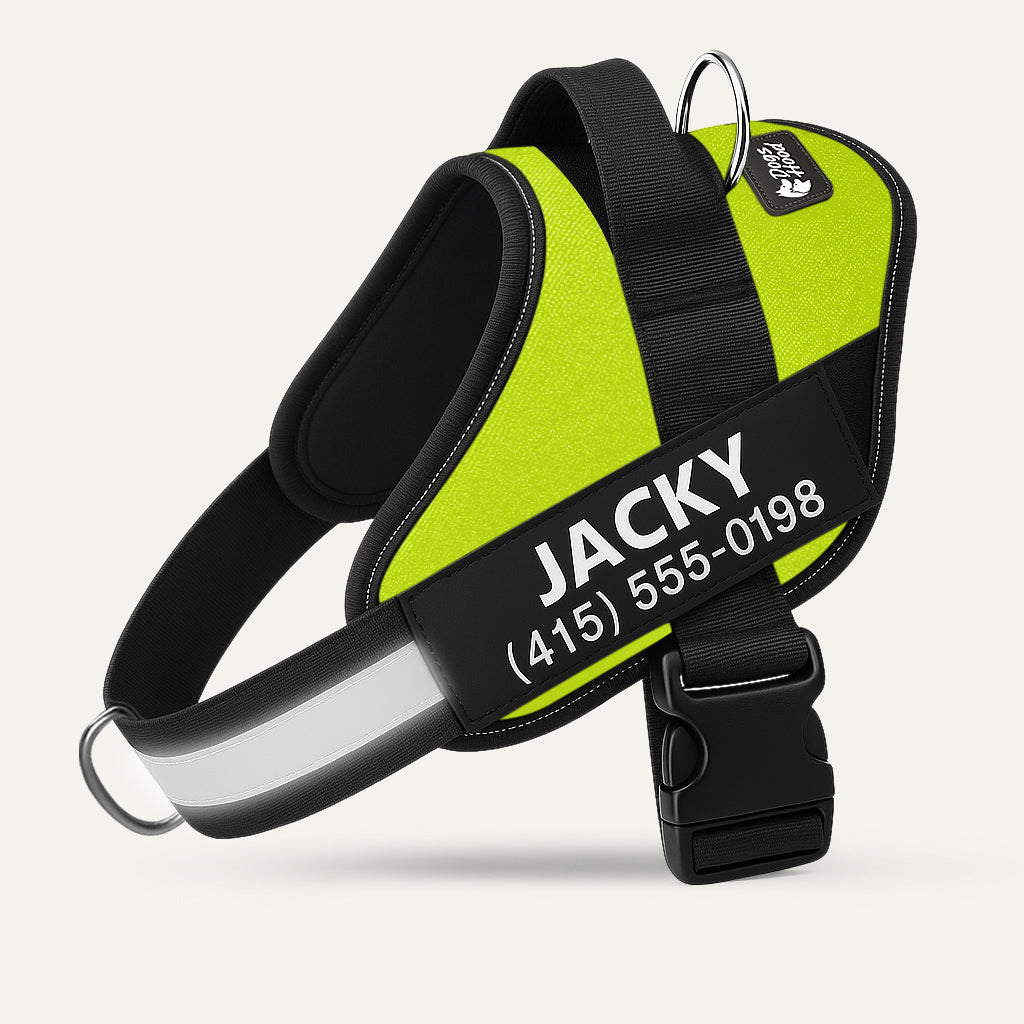 No-Pull Dog Harness, Green / XS