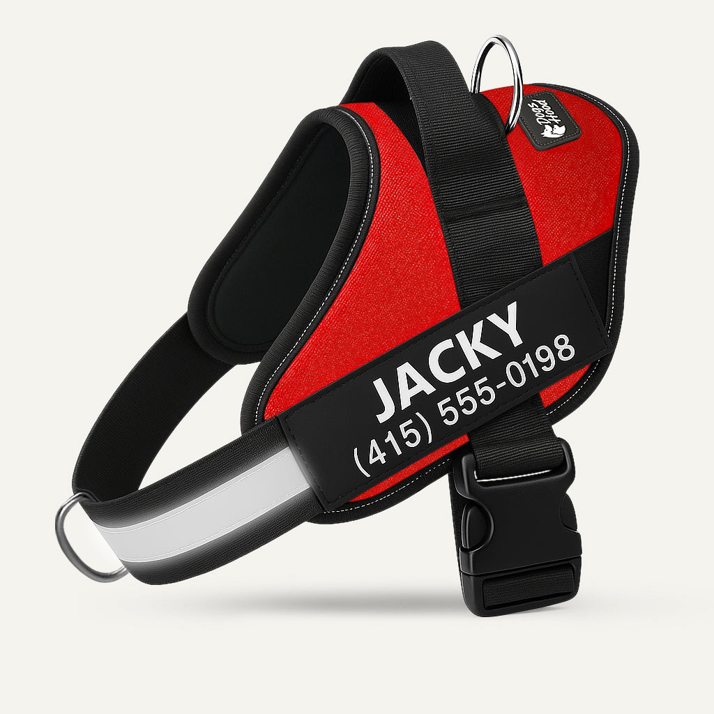 No-Pull Dog Harness, Red / XS