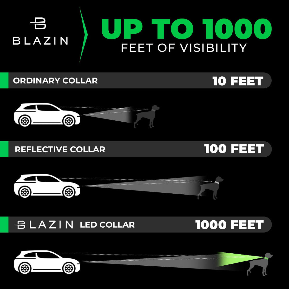 LED Dog Collar Visibility