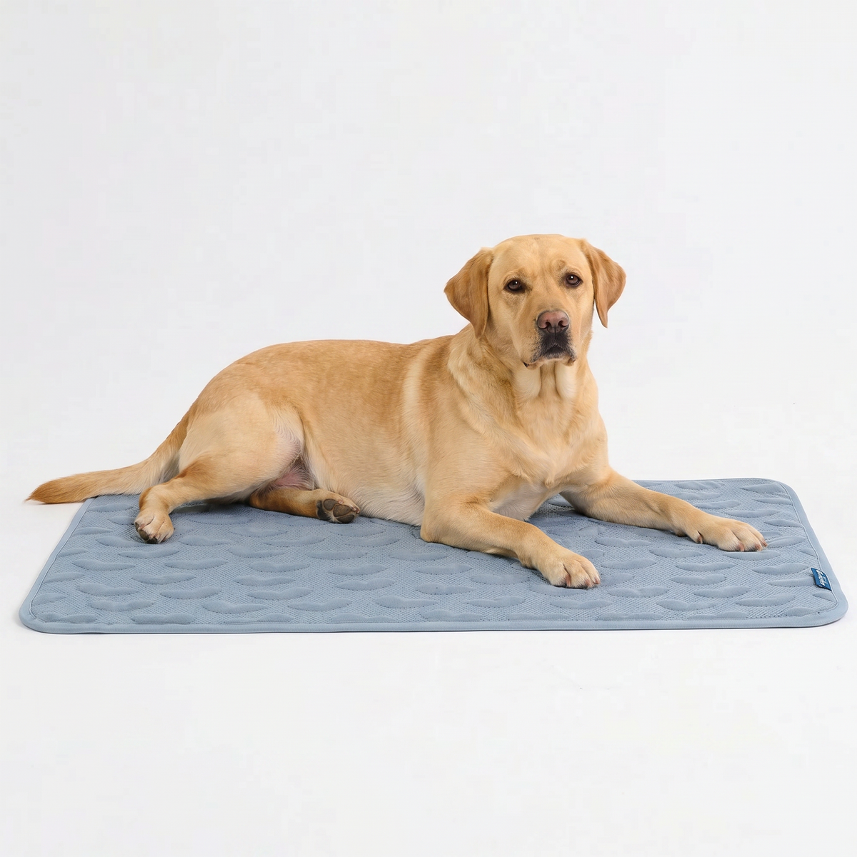 Breathable Cooling Dog Mat Hearts Ash Blue / 2XL