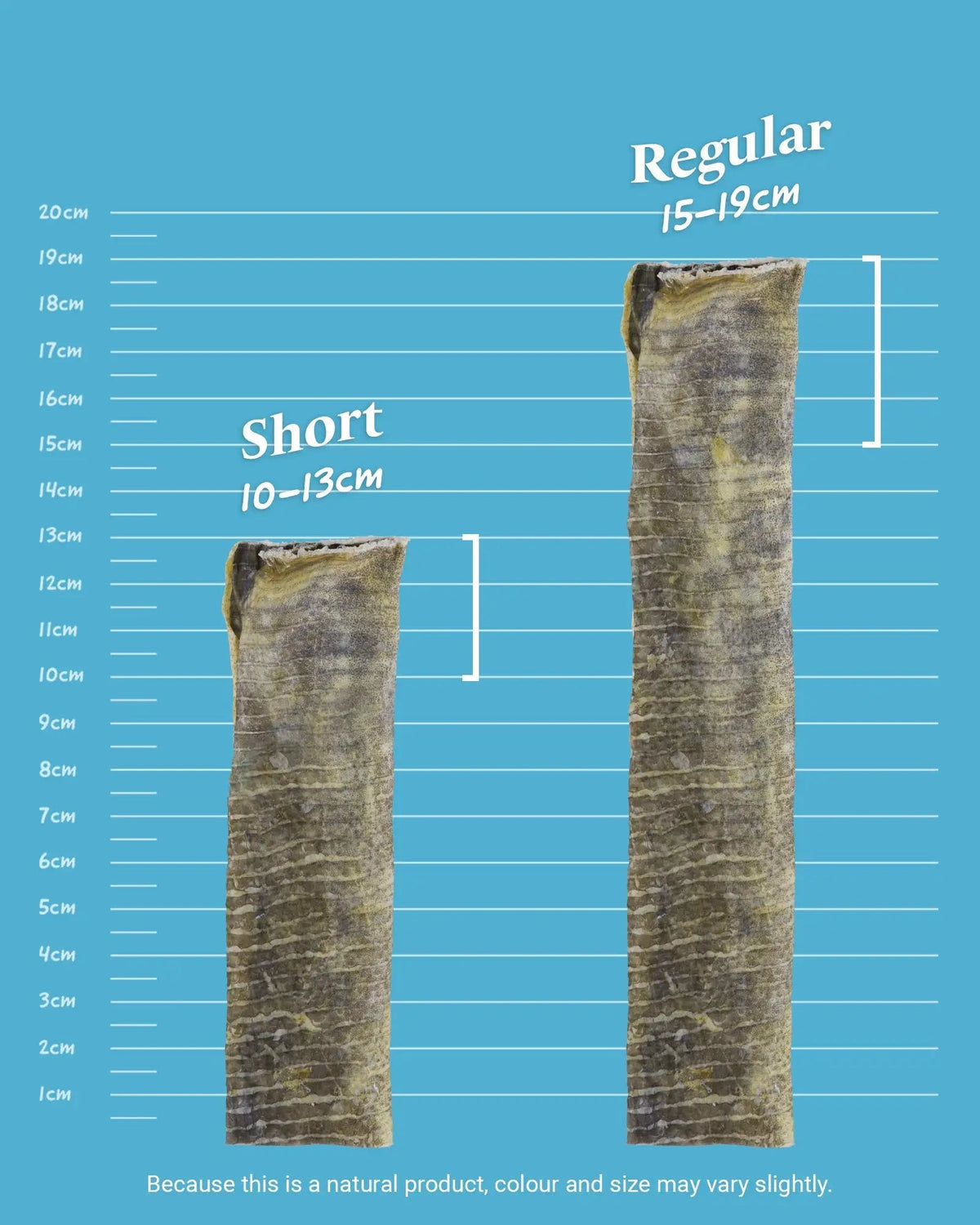 Fish Skin Flatties - Skipper's Pet Products