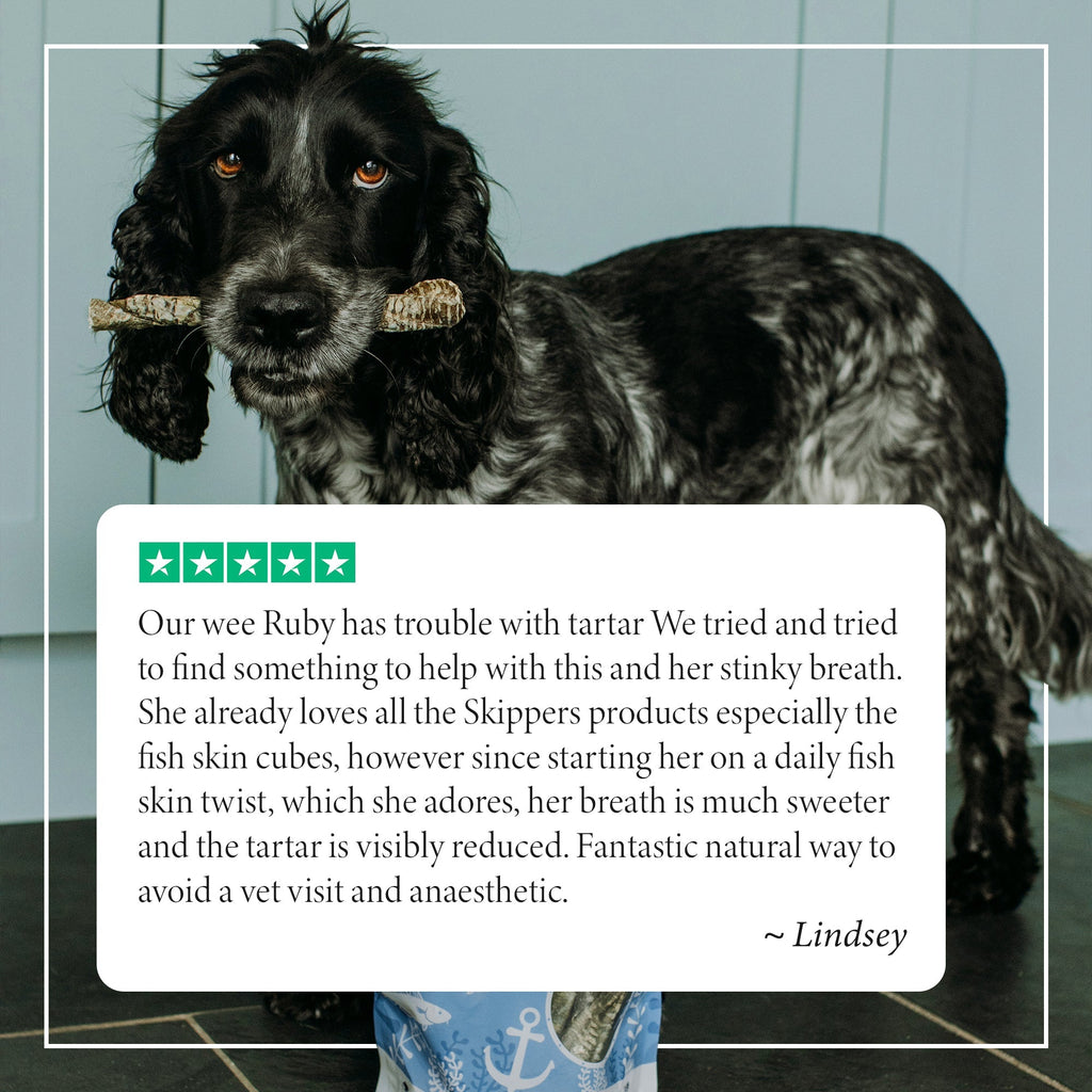 Fish Skin Twists - Try For £1 - Skipper's Pet Products