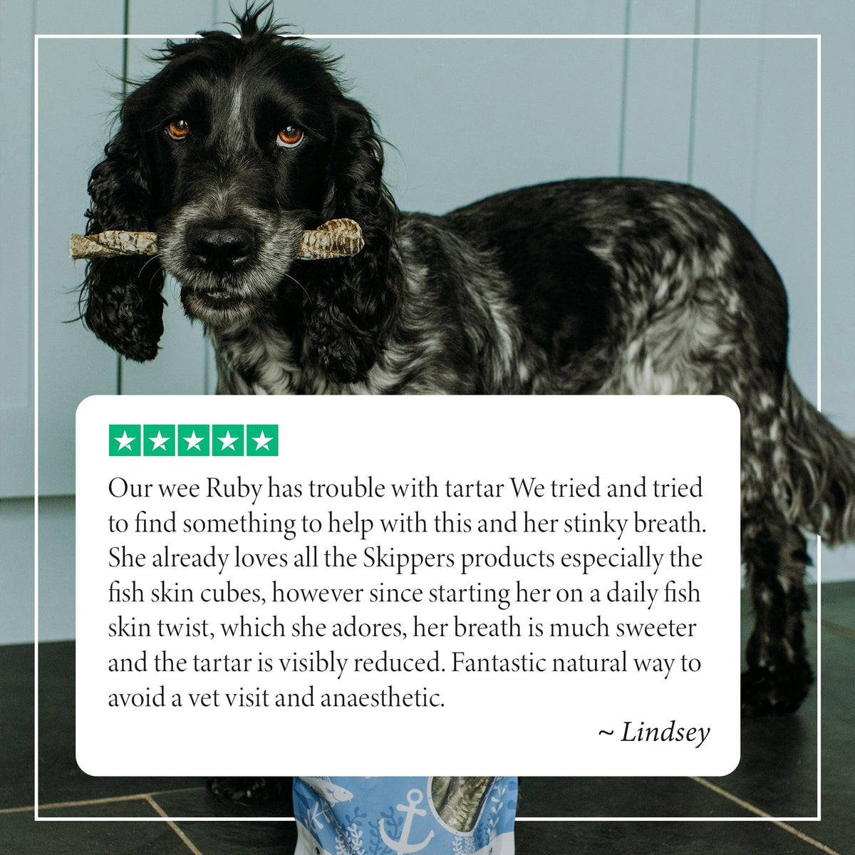 Fish Skin Twists - Try For £1 - Skipper's Pet Products
