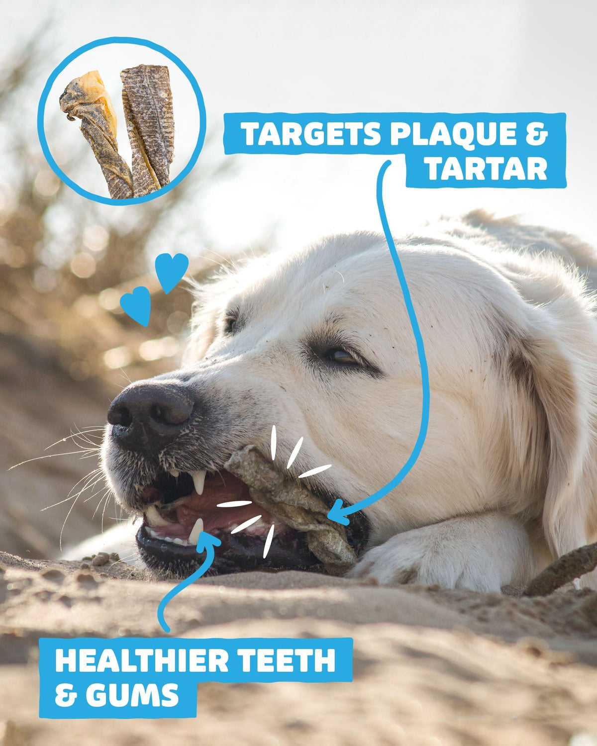 Fish Skin Twists - Skipper's Pet Products