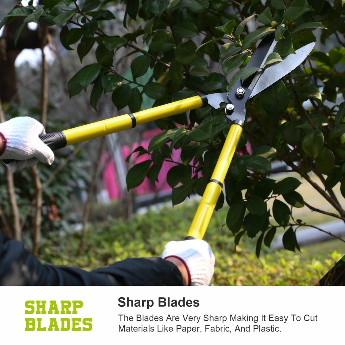 Long Reach Pruning Shears 18-38 Inch Extendable – Non-Stick Steel Blades Cut 2" Branches, Shock-Absorbing Handle