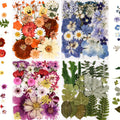 Dried Flowers Set 110 Pieces Vibrant Dried Flowers and Leaves for DIY Crafts Resin Jewelry Making Phone Case Candle Making Scrapbooking