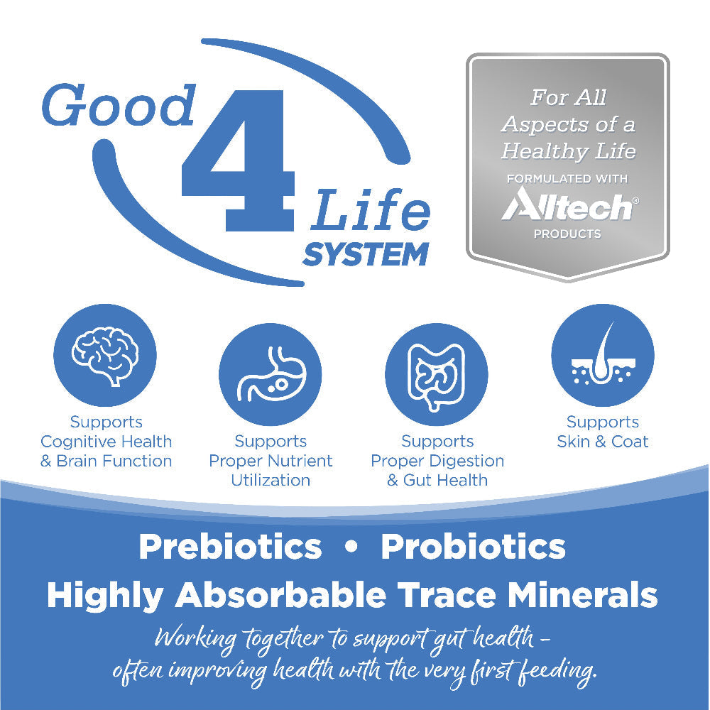 Advertisement for Good 4 Life System with icons and text about health benefits.