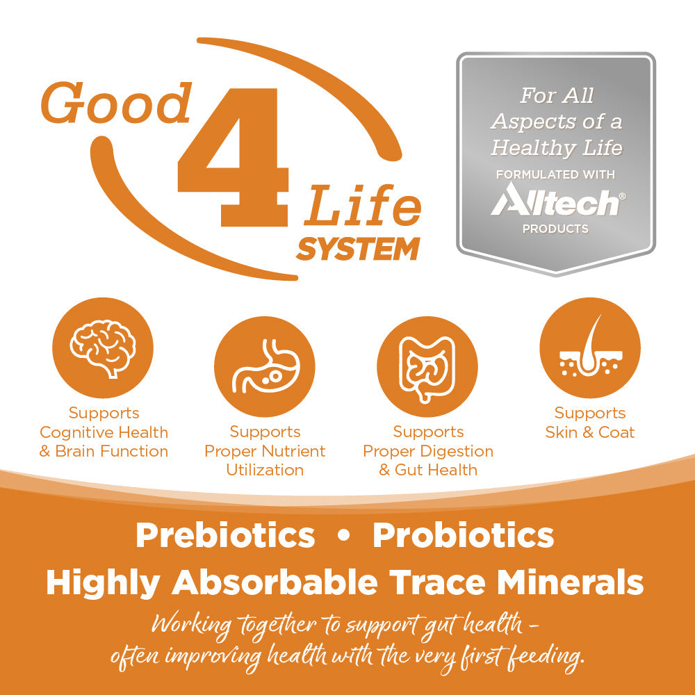 Advertisement for Good 4 Life System with Altech branding and health benefits listed.