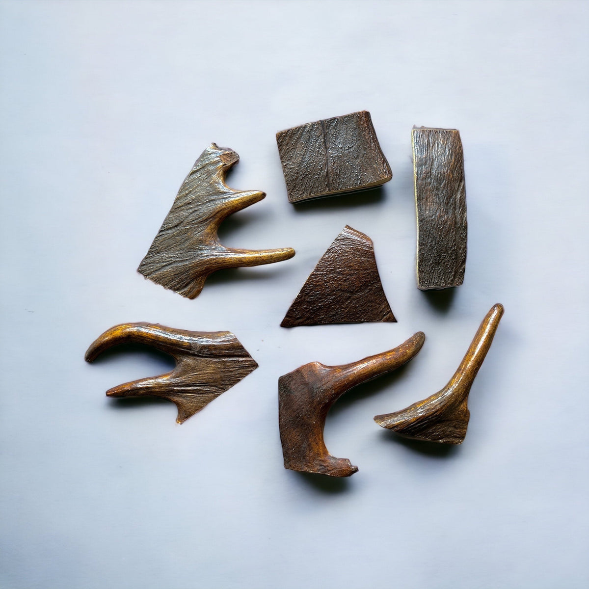 Moose Antler Dog Chew Assortment Medium Moderate Chewer - 3 Medium Chews Per Pound / Original Fresh Antler