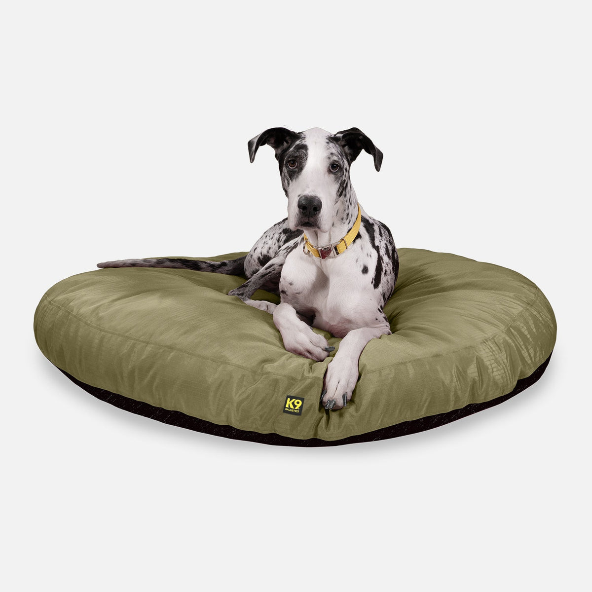 Tough Ripstop Round Pillow Dog Bed, XL / Sage Green