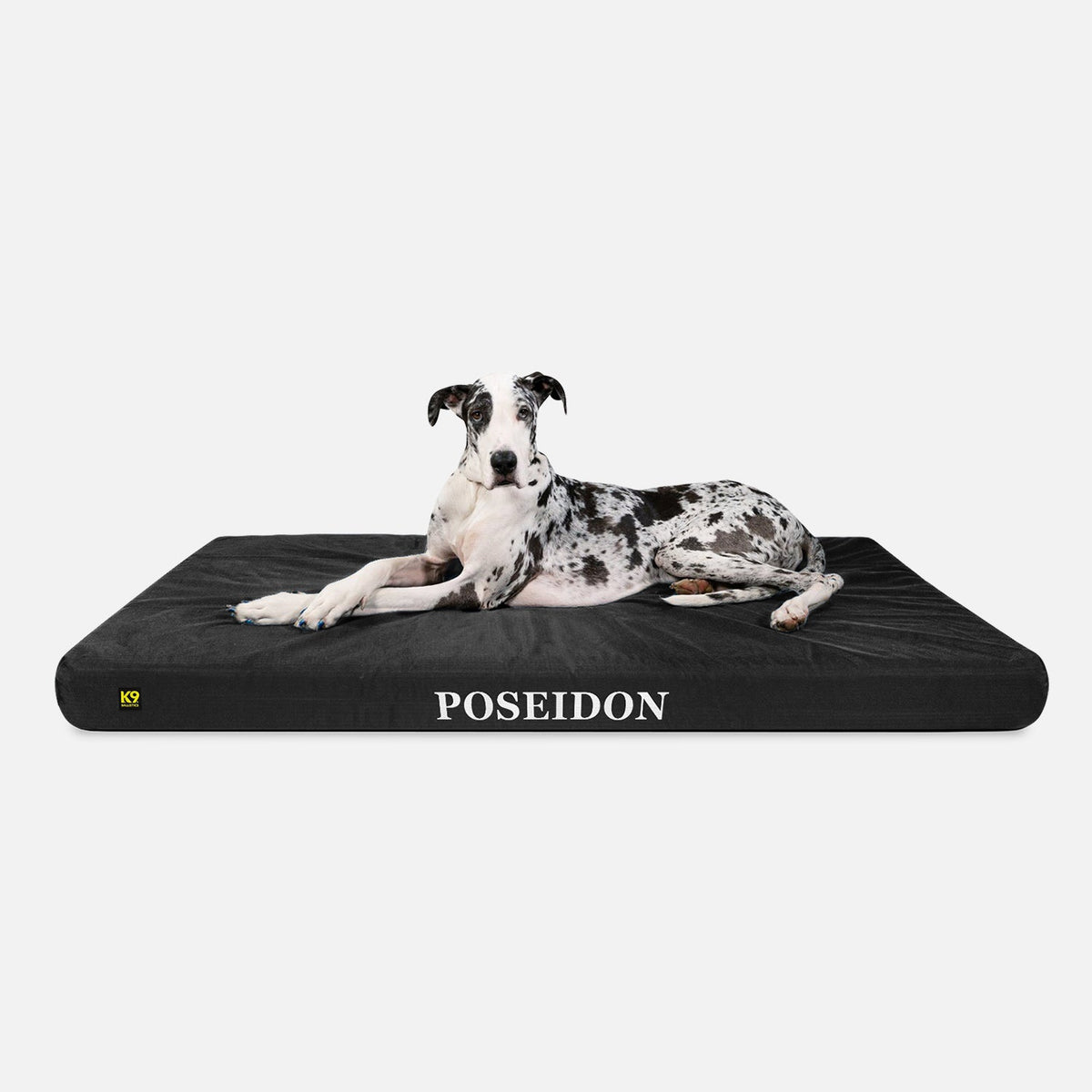 Ripstop Orthopedic Dog Bed, XXL / Obsidian Black