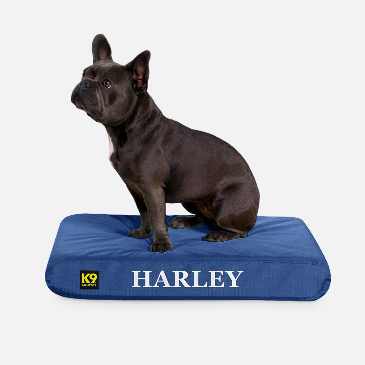 Ripstop Orthopedic Dog Bed, S / Blue Quartz