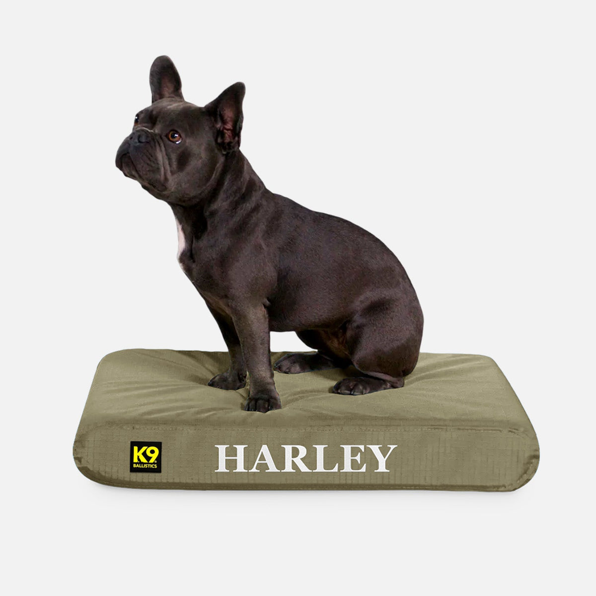 Ripstop Orthopedic Dog Bed, S / Sage Green